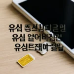 유심 털리면