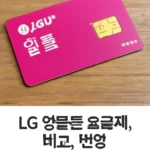 lg알뜰폰 요금제