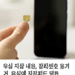 유심에 저장된 내용